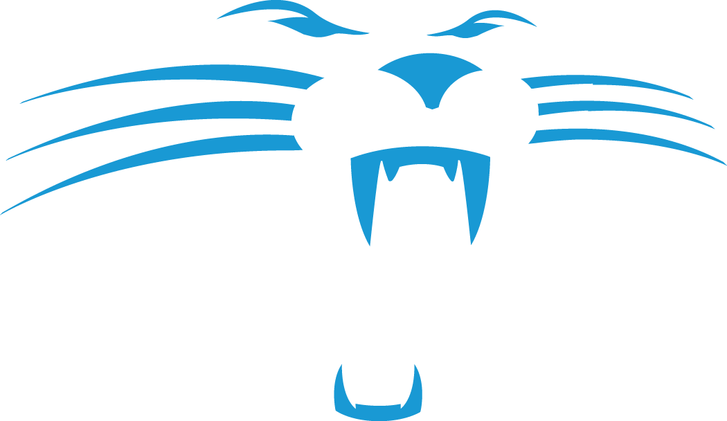 Carolina Panthers 1995-2011 Alternate Logo iron on transfers for T-shirts version 3